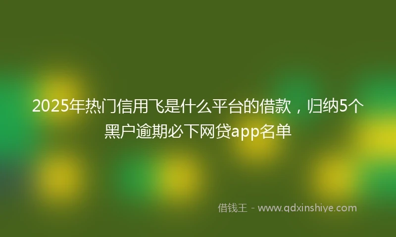 2025年热门信用飞是什么平台的借款，归纳5个黑户逾期必下网贷app名单