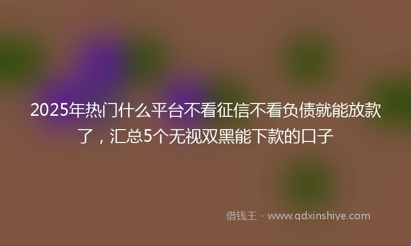 2025年热门什么平台不看征信不看负债就能放款了，汇总5个无视双黑能下款的口子