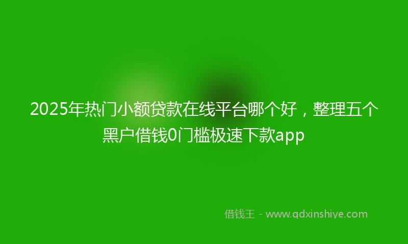 2025年热门小额贷款在线平台哪个好，整理五个黑户借钱0门槛极速下款app
