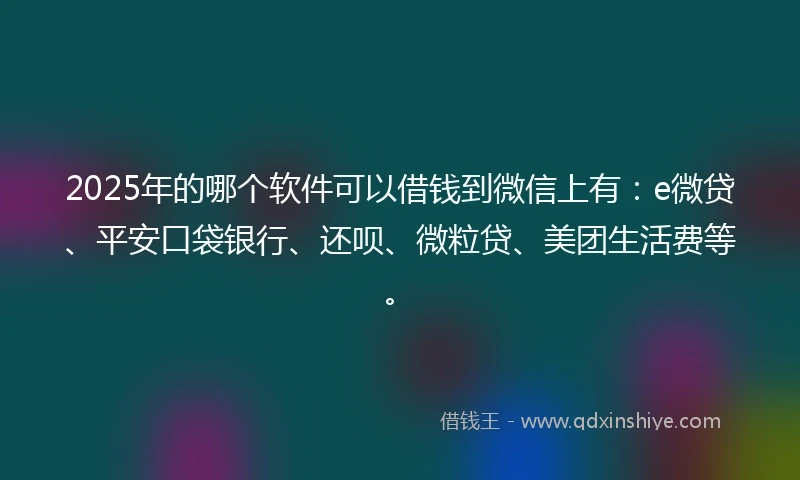 2025年的哪个软件可以借钱到微信上有：e微贷、平安口袋银行、还呗、微粒贷、美团生活费等。