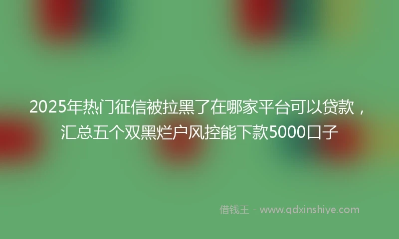 2025年热门征信被拉黑了在哪家平台可以贷款，汇总五个双黑烂户风控能下款5000口子