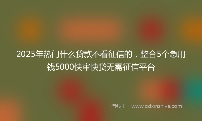 2025年热门什么贷款不看征信的，整合5个急用钱5000快审快贷无需征信平台