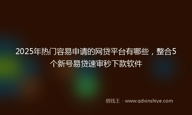 2025年热门容易申请的网贷平台有哪些,整合5个新号易贷速审秒下款软件