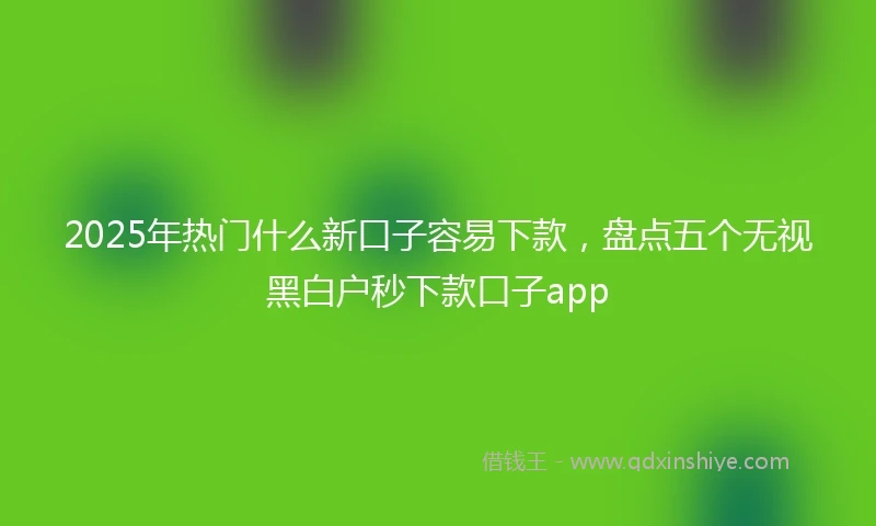 2025年热门什么新口子容易下款，盘点五个无视黑白户秒下款口子app