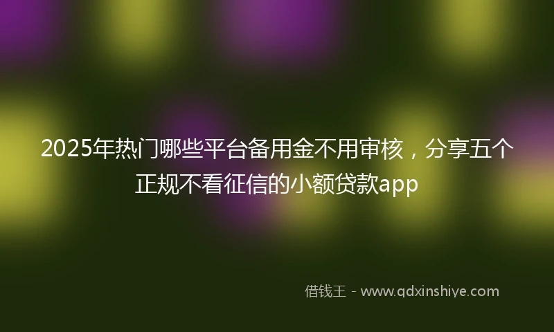 2025年热门哪些平台备用金不用审核，分享五个正规不看征信的小额贷款app