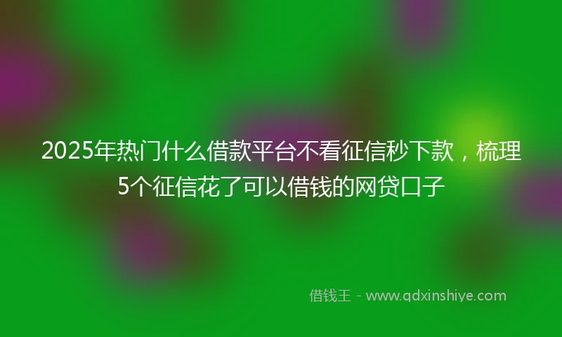 2025年热门什么借款平台不看征信秒下款，梳理5个征信花了可以借钱的网贷口子