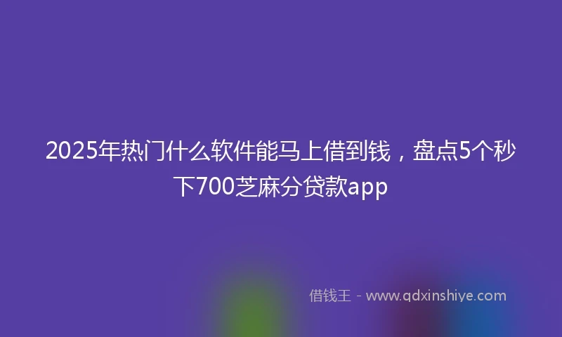 2025年热门什么软件能马上借到钱，盘点5个秒下700芝麻分贷款app