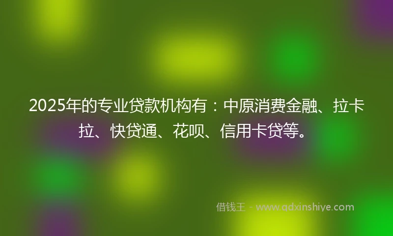 2025年的专业贷款机构有：中原消费金融、拉卡拉、快贷通、花呗、信用卡贷等。