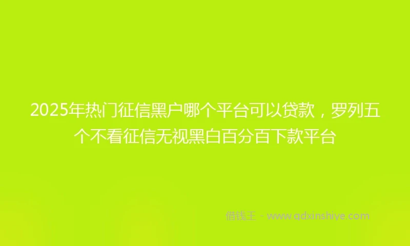 2025年热门征信黑户哪个平台可以贷款，罗列五个不看征信无视黑白百分百下款平台