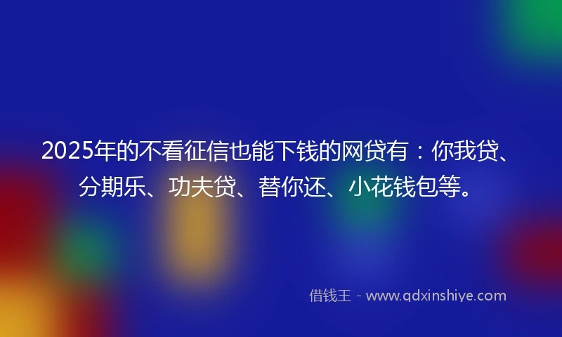 2025年的不看征信也能下钱的网贷有：你我贷、分期乐、功夫贷、替你还、小花钱包等。