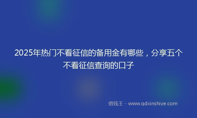 2025年热门不看征信的备用金有哪些，分享五个不看征信查询的口子