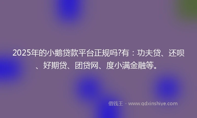 2025年的小鹅贷款平台正规吗?有：功夫贷、还呗、好期贷、团贷网、度小满金融等。
