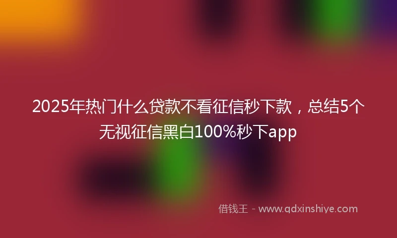 2025年热门什么贷款不看征信秒下款，总结5个无视征信黑白100%秒下app