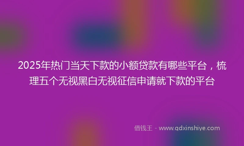 2025年热门当天下款的小额贷款有哪些平台，梳理五个无视黑白无视征信申请就下款的平台