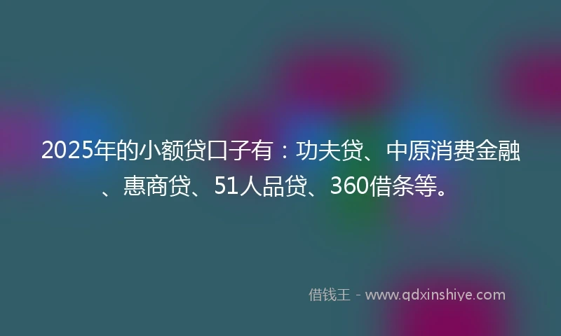 2025年的小额贷口子有：功夫贷、中原消费金融、惠商贷、51人品贷、360借条等。