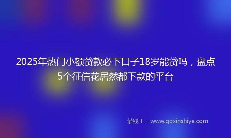 2025年热门小额贷款必下口子18岁能贷吗，盘点5个征信花居然都下款的平台