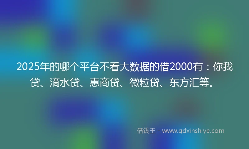 2025年的哪个平台不看大数据的借2000有：你我贷、滴水贷、惠商贷、微粒贷、东方汇等。