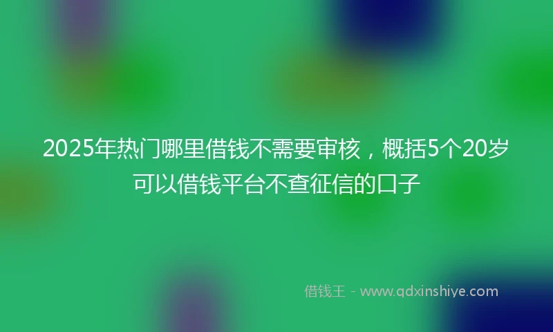 2025年热门哪里借钱不需要审核，概括5个20岁可以借钱平台不查征信的口子
