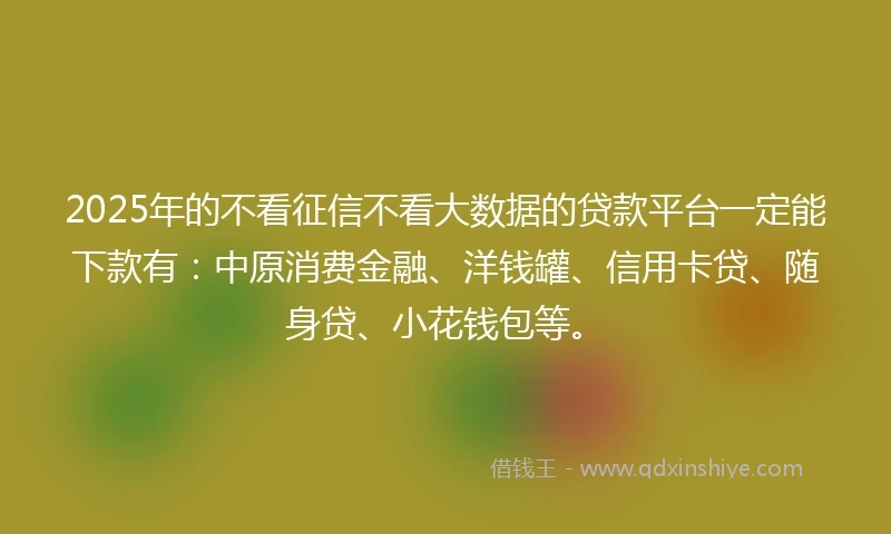2025年的不看征信不看大数据的贷款平台一定能下款有：中原消费金融、洋钱罐、信用卡贷、随身贷、小花钱包等。