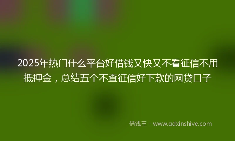 2025年热门什么平台好借钱又快又不看征信不用抵押金，总结五个不查征信好下款的网贷口子