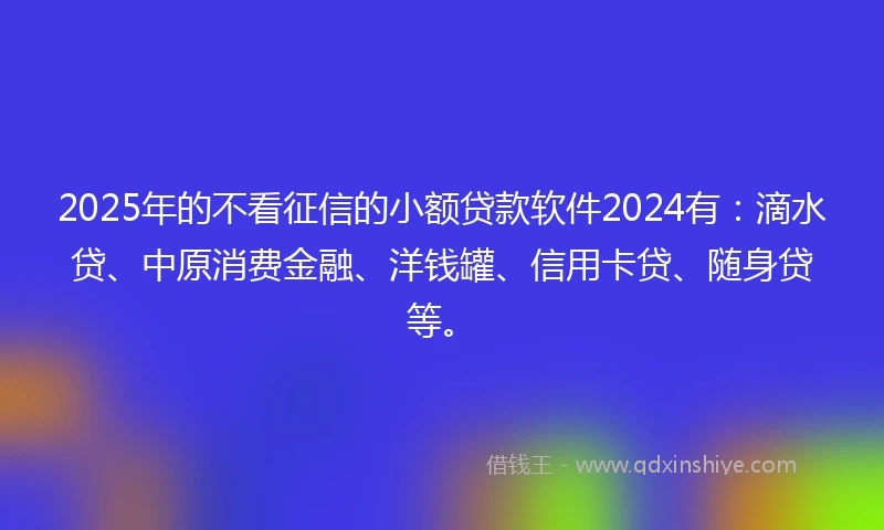 2025年的不看征信的小额贷款软件2024有：滴水贷、中原消费金融、洋钱罐、信用卡贷、随身贷等。