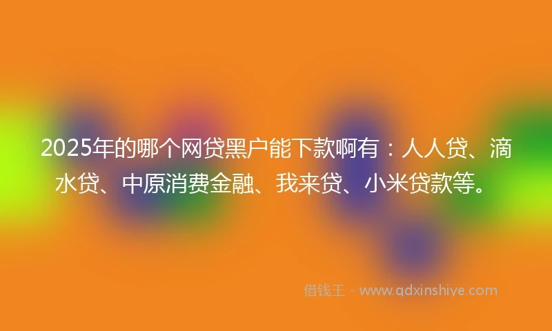 2025年的哪个网贷黑户能下款啊有：人人贷、滴水贷、中原消费金融、我来贷、小米贷款等。
