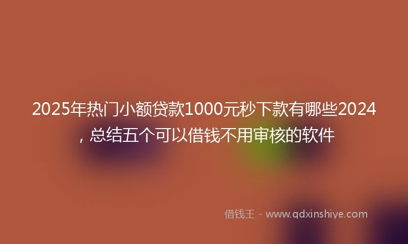 2025年热门小额贷款1000元秒下款有哪些2024，总结五个可以借钱不用审核的软件