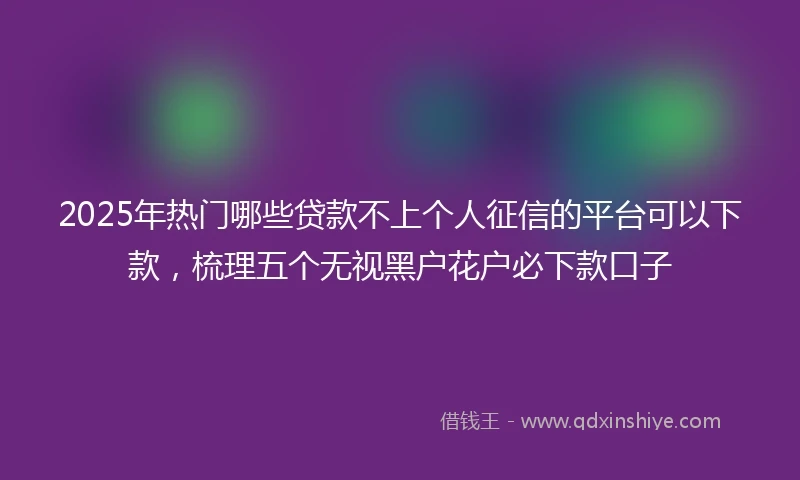 2025年热门哪些贷款不上个人征信的平台可以下款，梳理五个无视黑户花户必下款口子