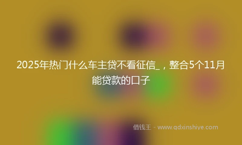 2025年热门什么车主贷不看征信_，整合5个11月能贷款的口子