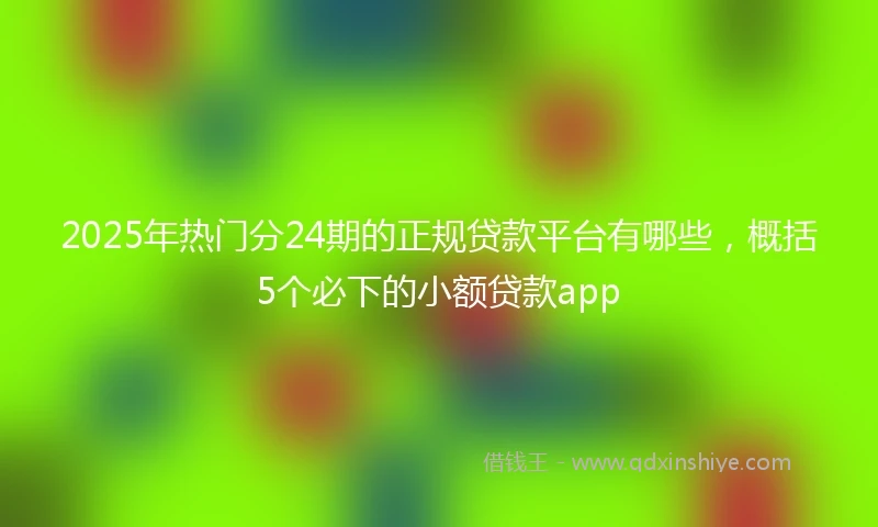 2025年热门分24期的正规贷款平台有哪些，概括5个必下的小额贷款app