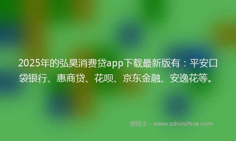 2025年的弘昊消费贷app下载最新版有：平安口袋银行、惠商贷、花呗、京东金融、安逸花等。