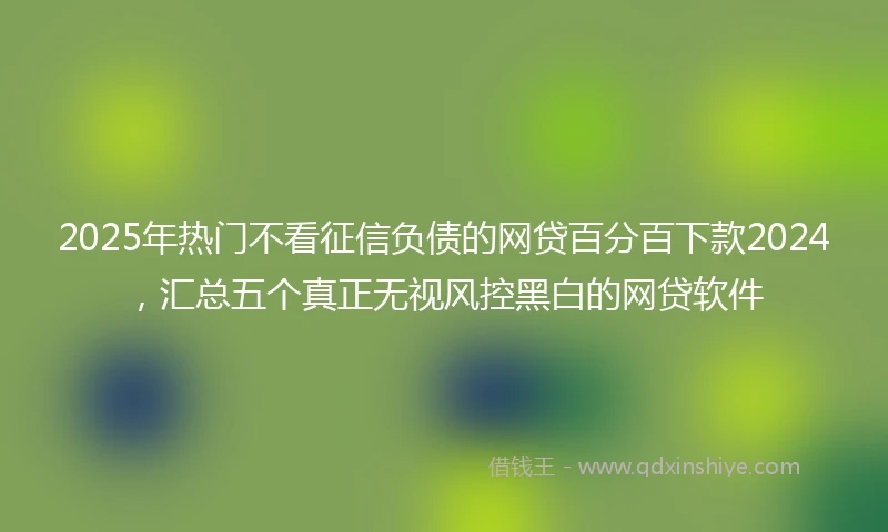 2025年热门不看征信负债的网贷百分百下款2024，汇总五个真正无视风控黑白的网贷软件