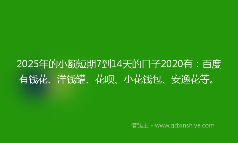 2025年的小额短期7到14天的口子2020有：百度有钱花、洋钱罐、花呗、小花钱包、安逸花等。