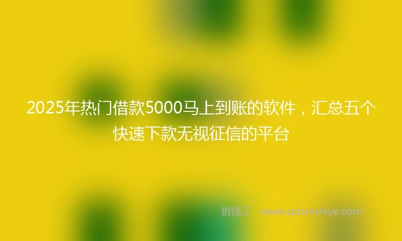 2025年热门借款5000马上到账的软件，汇总五个快速下款无视征信的平台