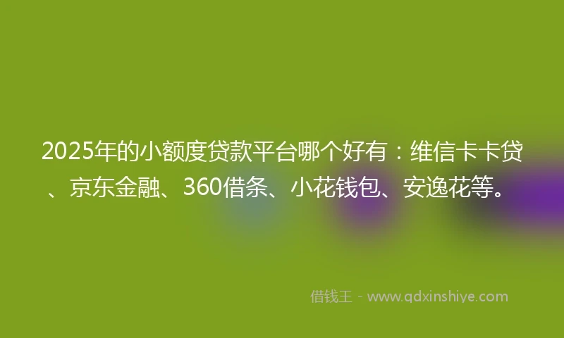 2025年的小额度贷款平台哪个好有：维信卡卡贷、京东金融、360借条、小花钱包、安逸花等。