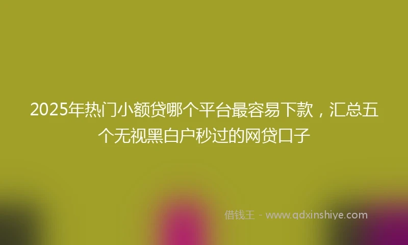 2025年热门小额贷哪个平台最容易下款，汇总五个无视黑白户秒过的网贷口子