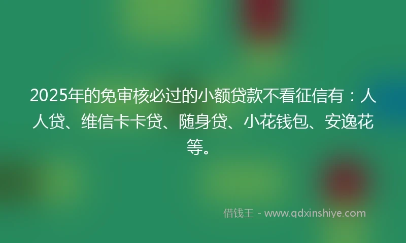 2025年的免审核必过的小额贷款不看征信有：人人贷、维信卡卡贷、随身贷、小花钱包、安逸花等。