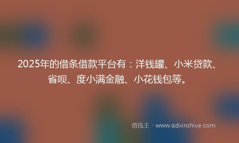 2025年的借条借款平台有：洋钱罐、小米贷款、省呗、度小满金融、小花钱包等。