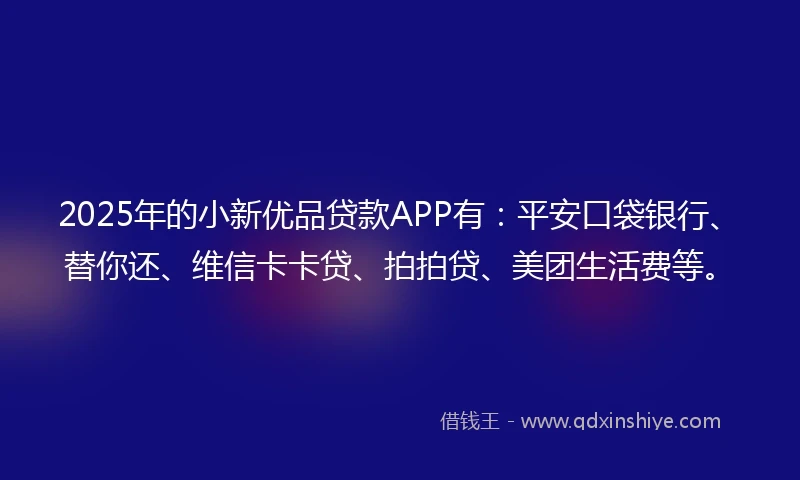 2025年的小新优品贷款APP有：平安口袋银行、替你还、维信卡卡贷、拍拍贷、美团生活费等。