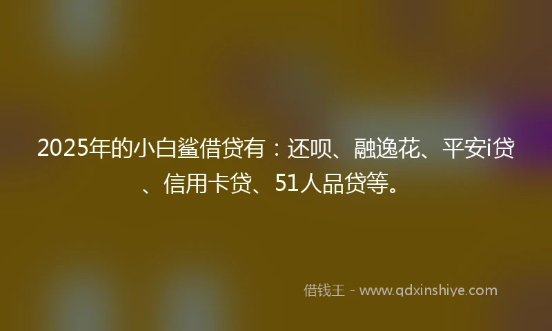 2025年的小白鲨借贷有：还呗、融逸花、平安i贷、信用卡贷、51人品贷等。