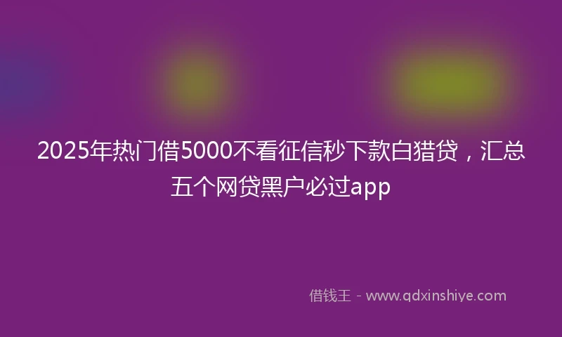 2025年热门借5000不看征信秒下款白猎贷，汇总五个网贷黑户必过app