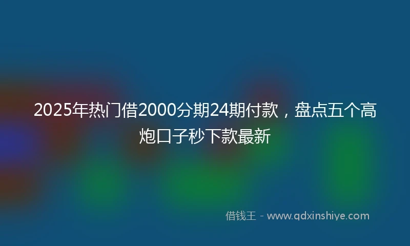 2025年热门借2000分期24期付款，盘点五个高炮口子秒下款最新