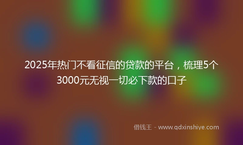 2025年热门不看征信的贷款的平台，梳理5个3000元无视一切必下款的口子