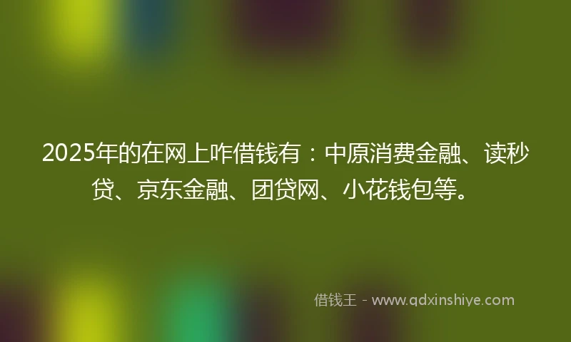 2025年的在网上咋借钱有：中原消费金融、读秒贷、京东金融、团贷网、小花钱包等。