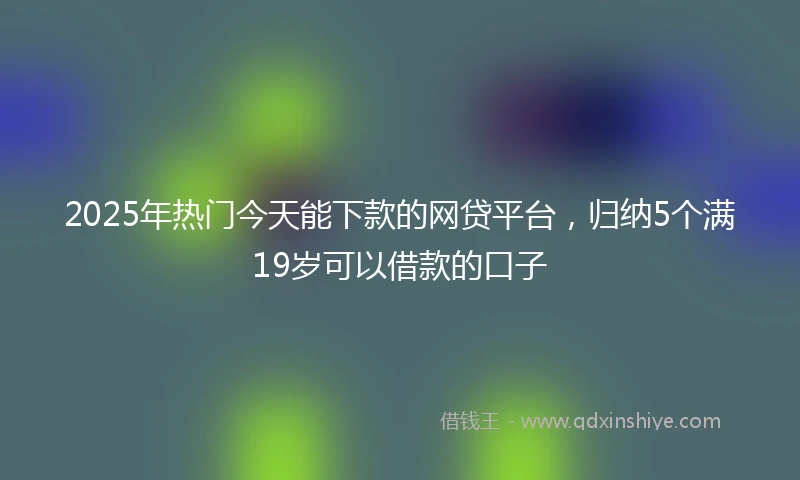 2025年热门今天能下款的网贷平台，归纳5个满19岁可以借款的口子