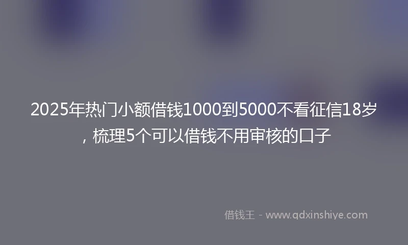2025年热门小额借钱1000到5000不看征信18岁，梳理5个可以借钱不用审核的口子