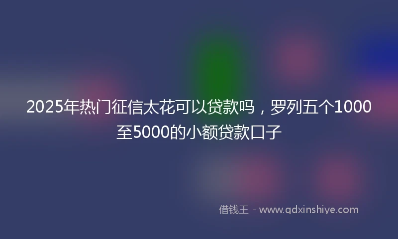 2025年热门征信太花可以贷款吗，罗列五个1000至5000的小额贷款口子