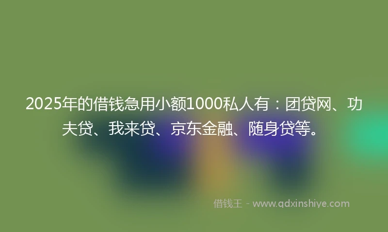 2025年的借钱急用小额1000私人有：团贷网、功夫贷、我来贷、京东金融、随身贷等。