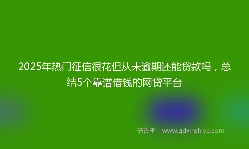 2025年热门征信很花但从未逾期还能贷款吗，总结5个靠谱借钱的网贷平台