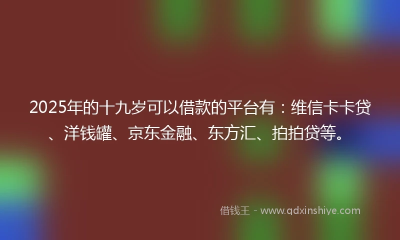 2025年的十九岁可以借款的平台有：维信卡卡贷、洋钱罐、京东金融、东方汇、拍拍贷等。